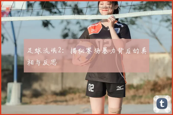 足球流氓2:揭秘赛场暴力背后的真相与反思
