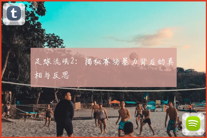 足球流氓2:揭秘赛场暴力背后的真相与反思